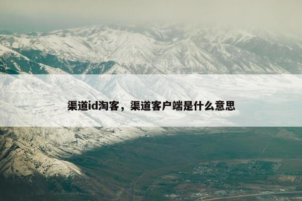 渠道id淘客，渠道客户端是什么意思