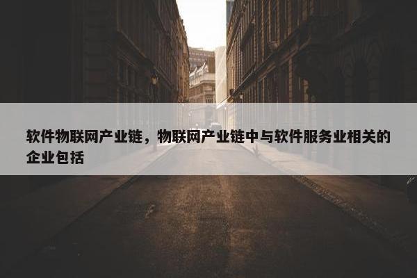 软件物联网产业链，物联网产业链中与软件服务业相关的企业包括