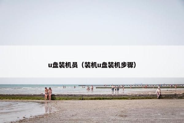u盘装机员（装机u盘装机步骤）