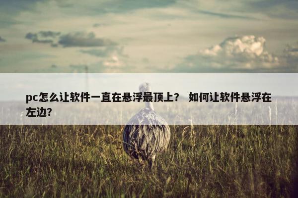 pc怎么让软件一直在悬浮最顶上？ 如何让软件悬浮在左边？