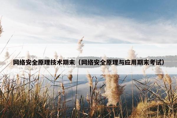 网络安全原理技术期末（网络安全原理与应用期末考试）