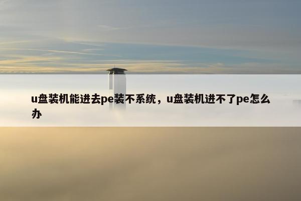 u盘装机能进去pe装不系统，u盘装机进不了pe怎么办