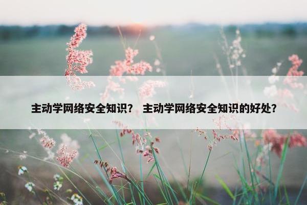 主动学网络安全知识？ 主动学网络安全知识的好处？