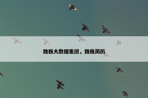 魏巍大数据集团，魏巍简历
