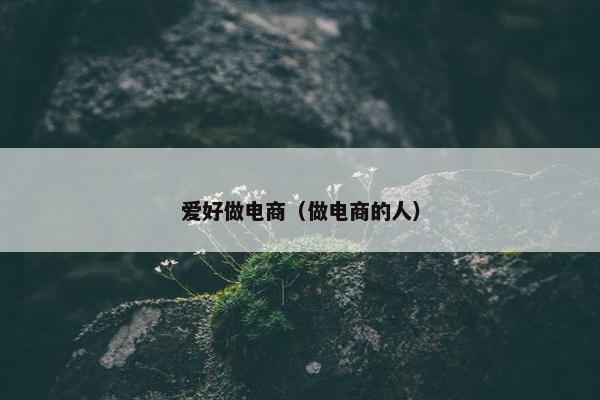 爱好做电商（做电商的人）