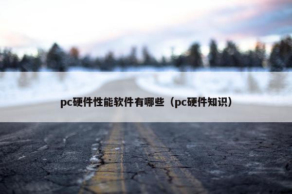 pc硬件性能软件有哪些（pc硬件知识）