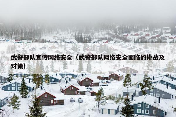 武警部队宣传网络安全（武警部队网络安全面临的挑战及对策）