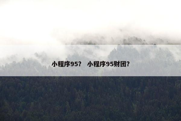 小程序95？ 小程序95财团？