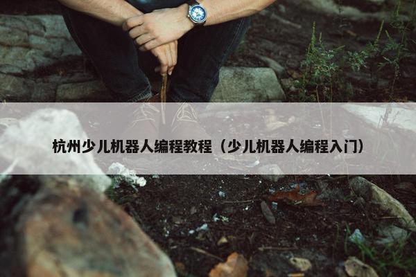 杭州少儿机器人编程教程（少儿机器人编程入门）