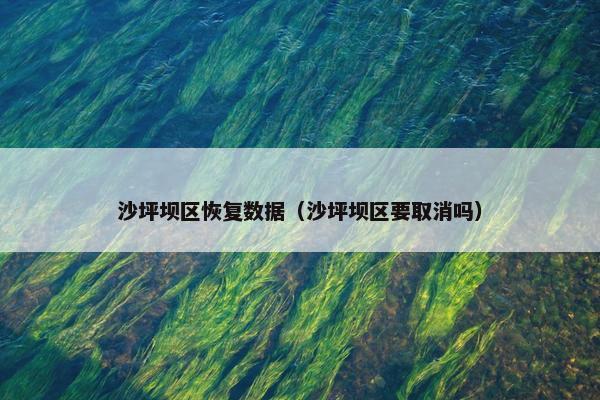 沙坪坝区恢复数据（沙坪坝区要取消吗）