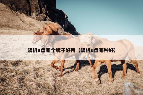 装机u盘哪个牌子好用（装机u盘哪种好）