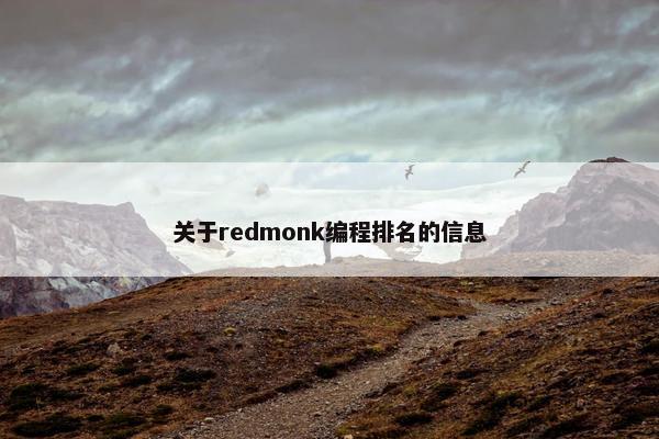关于redmonk编程排名的信息
