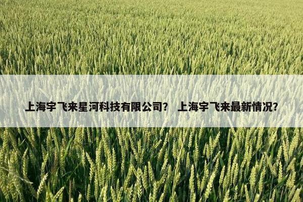 上海宇飞来星河科技有限公司？ 上海宇飞来最新情况？