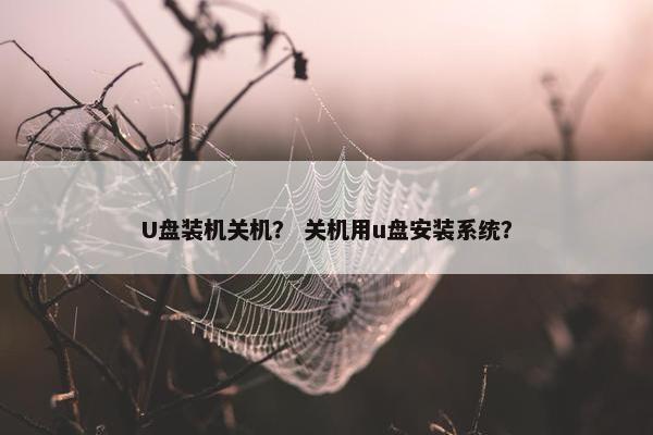 U盘装机关机？ 关机用u盘安装系统？