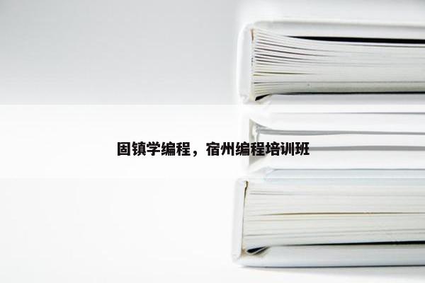 固镇学编程，宿州编程培训班