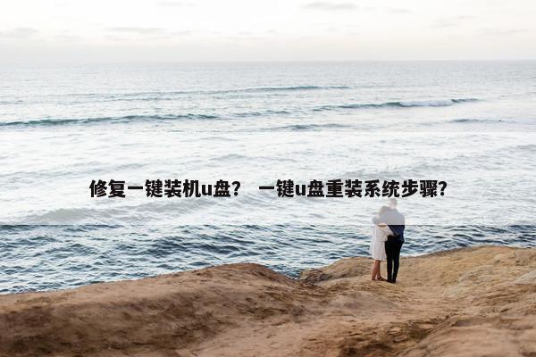 修复一键装机u盘？ 一键u盘重装系统步骤？