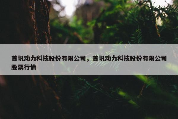 首帆动力科技股份有限公司，首帆动力科技股份有限公司股票行情