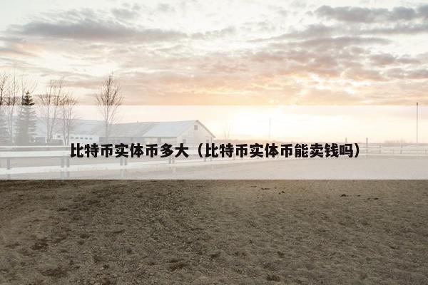 比特币实体币多大（比特币实体币能卖钱吗）