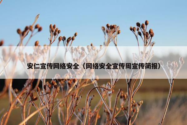 安仁宣传网络安全（网络安全宣传周宣传简报）