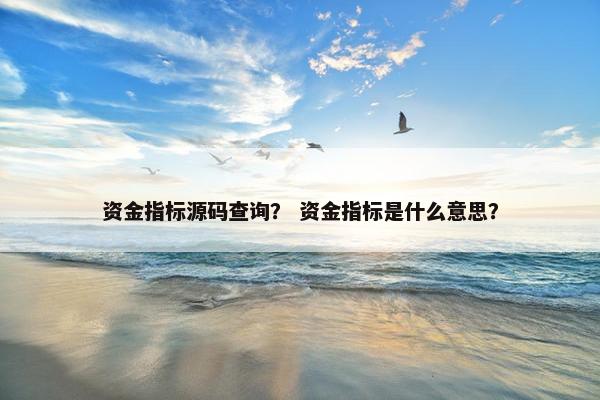 资金指标源码查询？ 资金指标是什么意思？