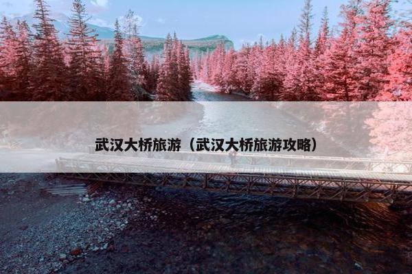 武汉大桥旅游（武汉大桥旅游攻略）