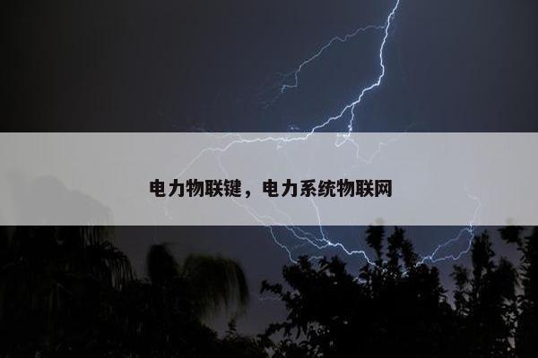 电力物联键，电力系统物联网
