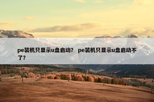 pe装机只显示u盘启动？ pe装机只显示u盘启动不了？