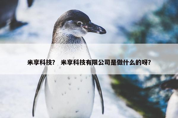 米享科技？ 米享科技有限公司是做什么的呀？