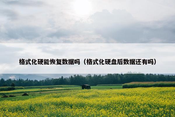 格式化硬能恢复数据吗（格式化硬盘后数据还有吗）
