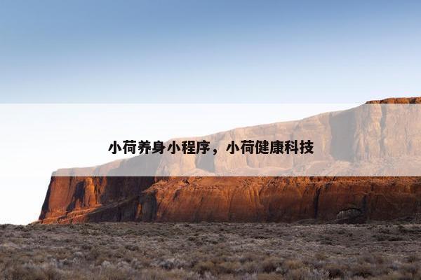 小荷养身小程序，小荷健康科技
