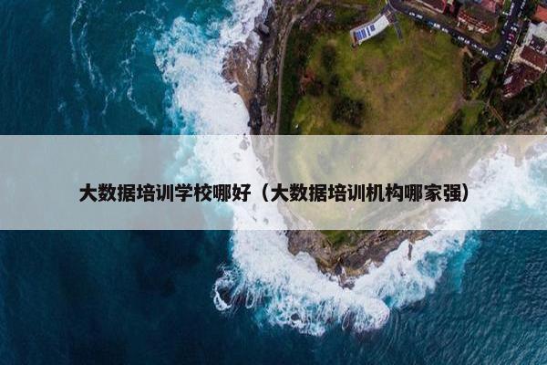 大数据培训学校哪好（大数据培训机构哪家强）