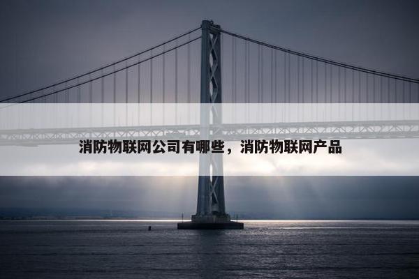 消防物联网公司有哪些，消防物联网产品