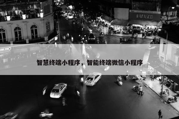 智慧终端小程序，智能终端微信小程序