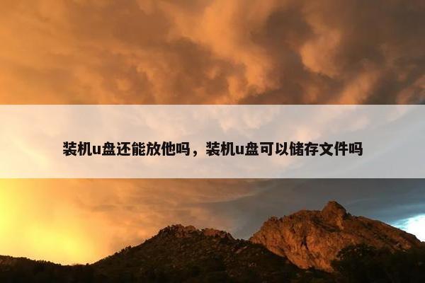 装机u盘还能放他吗，装机u盘可以储存文件吗