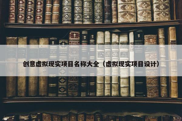创意虚拟现实项目名称大全（虚拟现实项目设计）