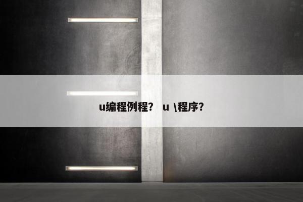 u编程例程？ u \程序？