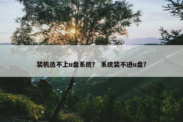 装机选不上u盘系统？ 系统装不进u盘？