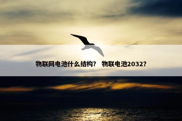 物联网电池什么结构？ 物联电池2032？