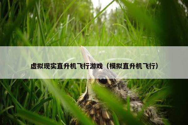 虚拟现实直升机飞行游戏（模拟直升机飞行）