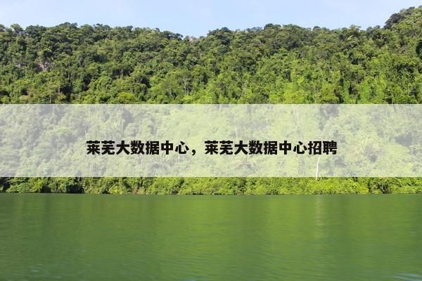 莱芜大数据中心，莱芜大数据中心招聘