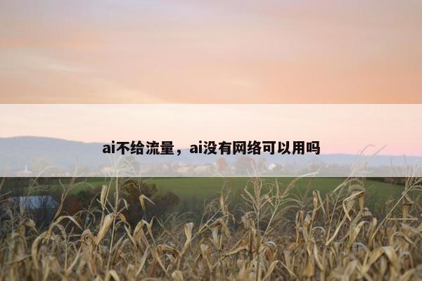 ai不给流量，ai没有网络可以用吗