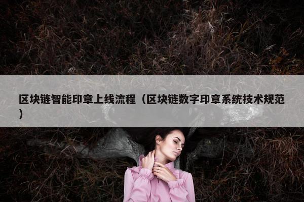区块链智能印章上线流程（区块链数字印章系统技术规范）