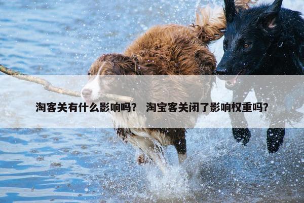 淘客关有什么影响吗？ 淘宝客关闭了影响权重吗？