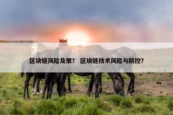 区块链风险及策？ 区块链技术风险与防控？
