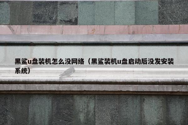黑鲨u盘装机怎么没网络（黑鲨装机u盘启动后没发安装系统）