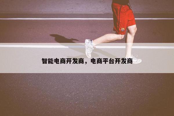 智能电商开发商，电商平台开发商