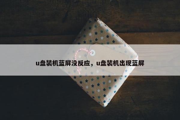 u盘装机蓝屏没反应，u盘装机出现蓝屏