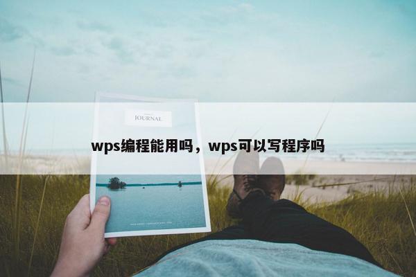 wps编程能用吗，wps可以写程序吗