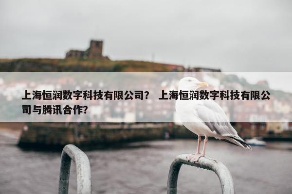 上海恒润数字科技有限公司？ 上海恒润数字科技有限公司与腾讯合作？