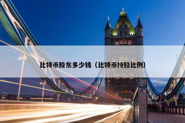 比特币股东多少钱（比特币持股比例）